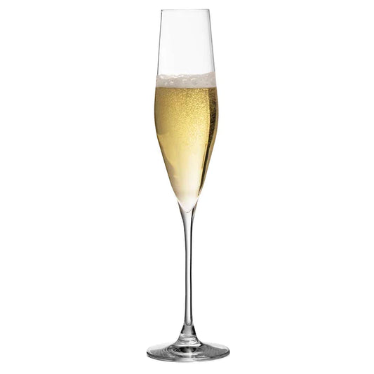 Bacci Krystall Champagneglass 19cl