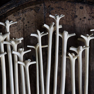 Swizzle Stick